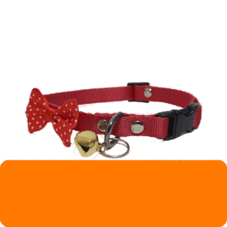 قلاده گردنی گربه