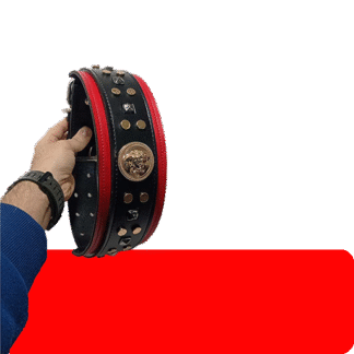 قلاده گردنی سگ