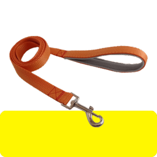 لید و زنجیر