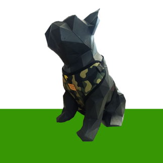 قلاده کتفی همراه با لید